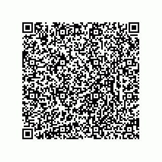 vCard 78462735313