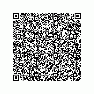 vCard 78462735334