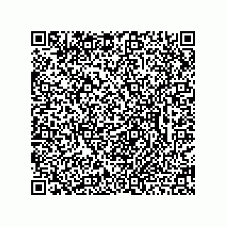 vCard 78462735385
