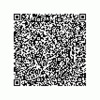 vCard 78462735387