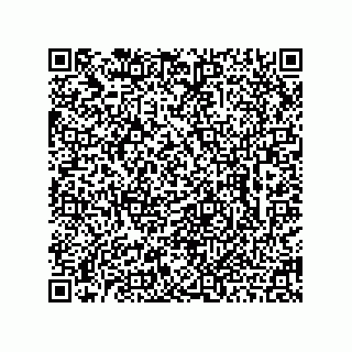 vCard 78462760300