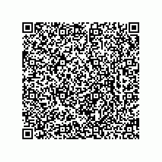 vCard 78462762003