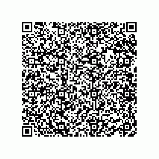 vCard 78462762097