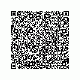 vCard 78462762098