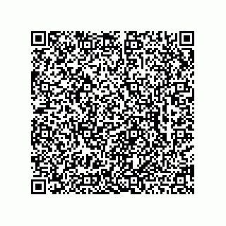 vCard 78462762100