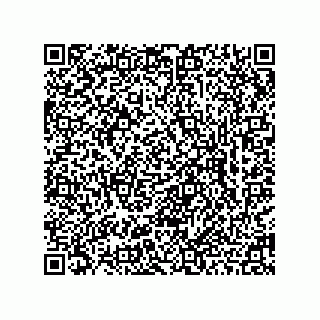 vCard 78462763529