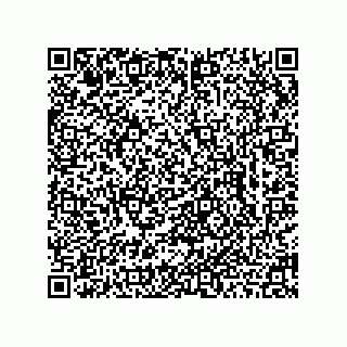 vCard 78462767500