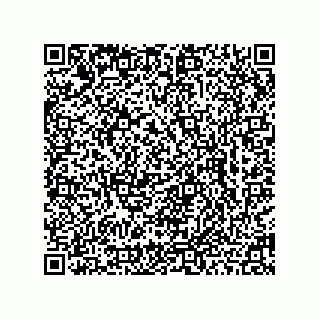 vCard 78462767503