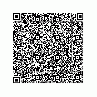 vCard 78462767504