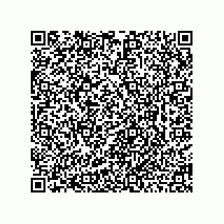 vCard 78462795204