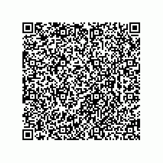 vCard 78462795207