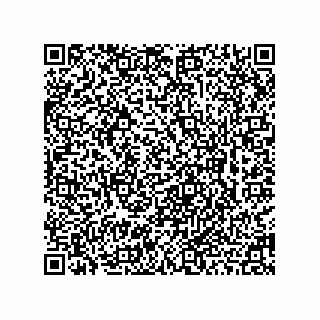 vCard 78462795222