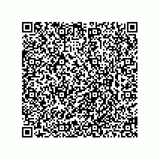 vCard 78462795227