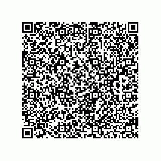 vCard 78462808039