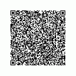 vCard 78463000177