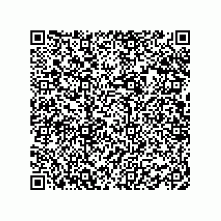 vCard 78463002001