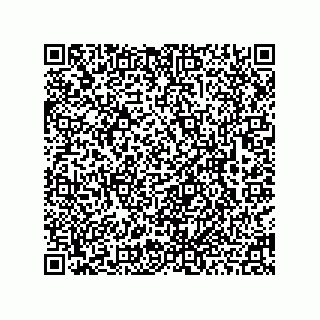 vCard 78463002002