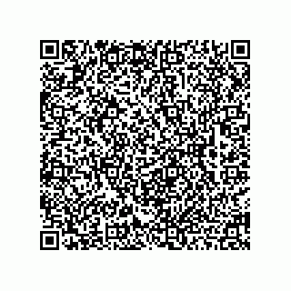 vCard 78463002011