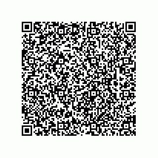 vCard 78463002012