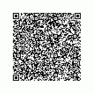 vCard 78463002177