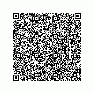 vCard 78463029341