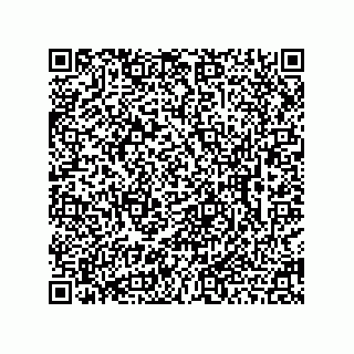 vCard 78463029379