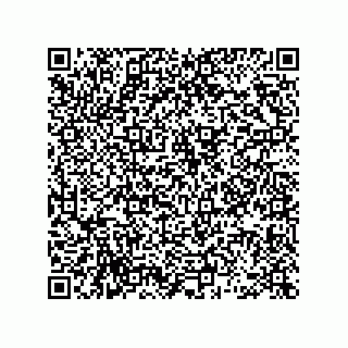vCard 78463029399