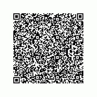 vCard 78463038089
