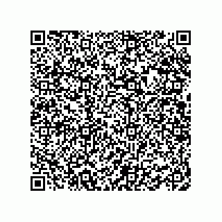 vCard 78463038307