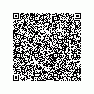 vCard 78463091003