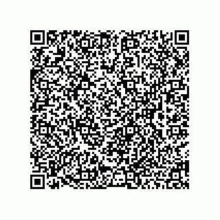 vCard 78463091013