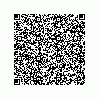 vCard 78463091037