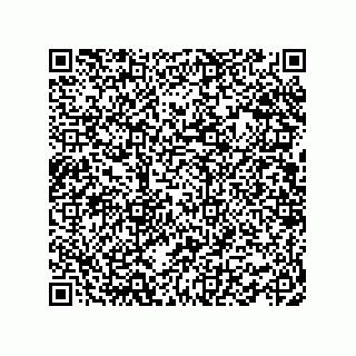 vCard 78463091063