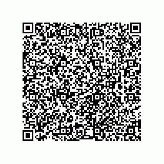 vCard 78463091075
