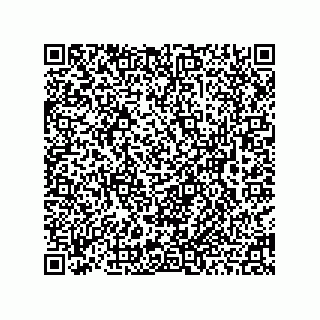 vCard 78463091077