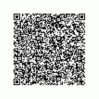 vCard 78463091138
