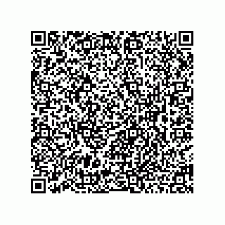 vCard 78463091263