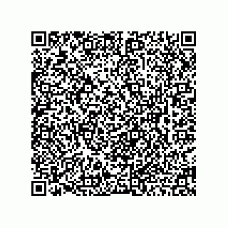 vCard 78463091271