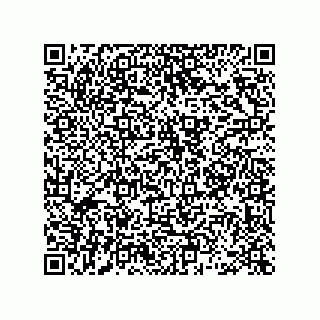 vCard 78463091300