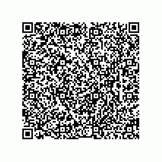 vCard 78463091313