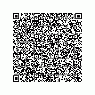 vCard 78463091319