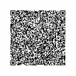 vCard 78463091329