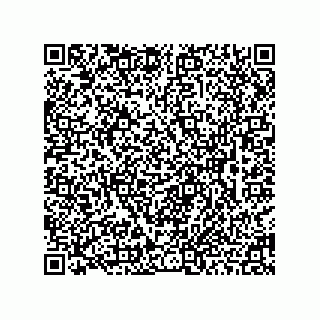 vCard 78463091351