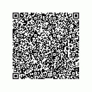 vCard 78463091353