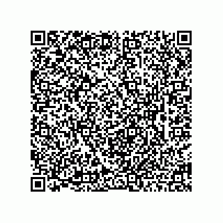 vCard 78463091370