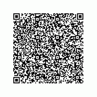 vCard 78463091377