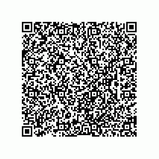 vCard 78463091380