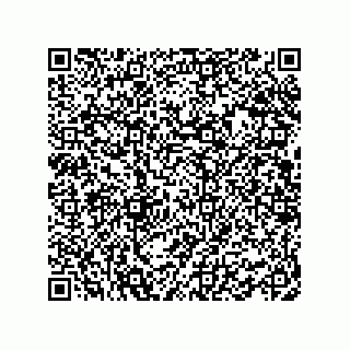 vCard 78463091381
