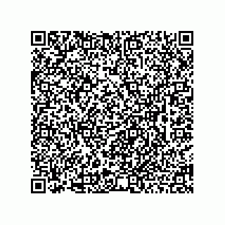 vCard 78463091382