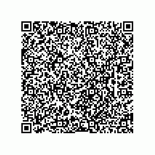 vCard 78463091387